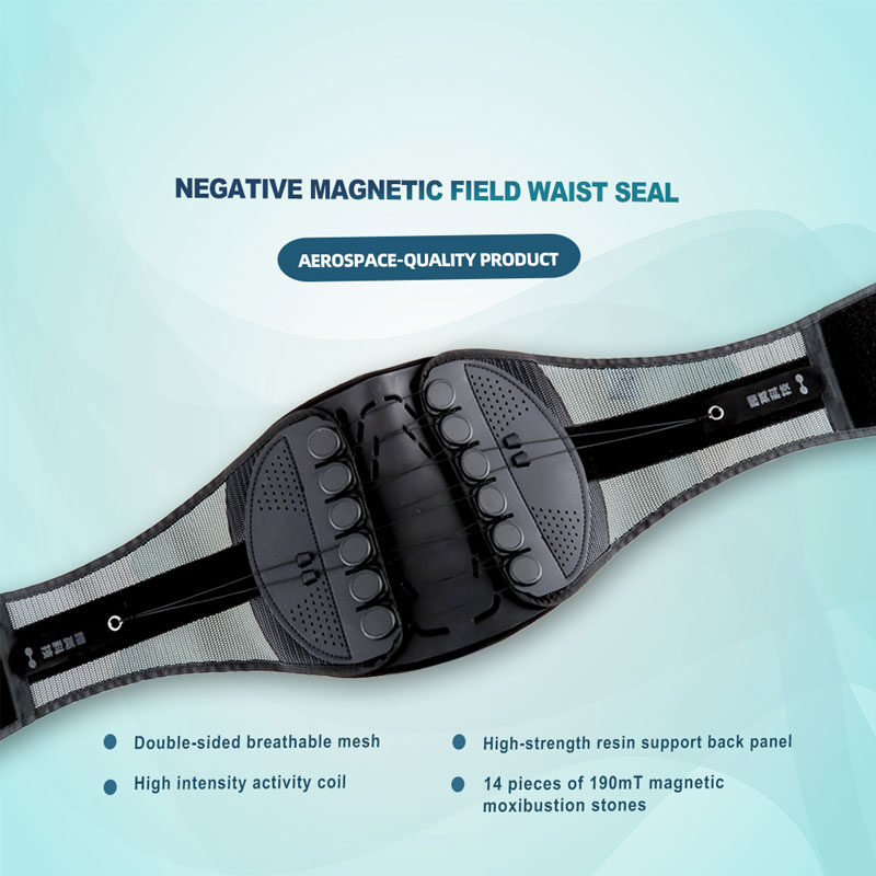 Negative magnetic field waist seal